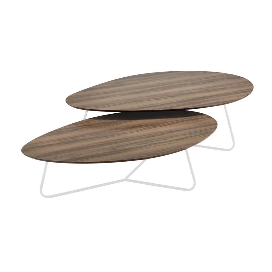 conjunto de mesa de centro orgânica