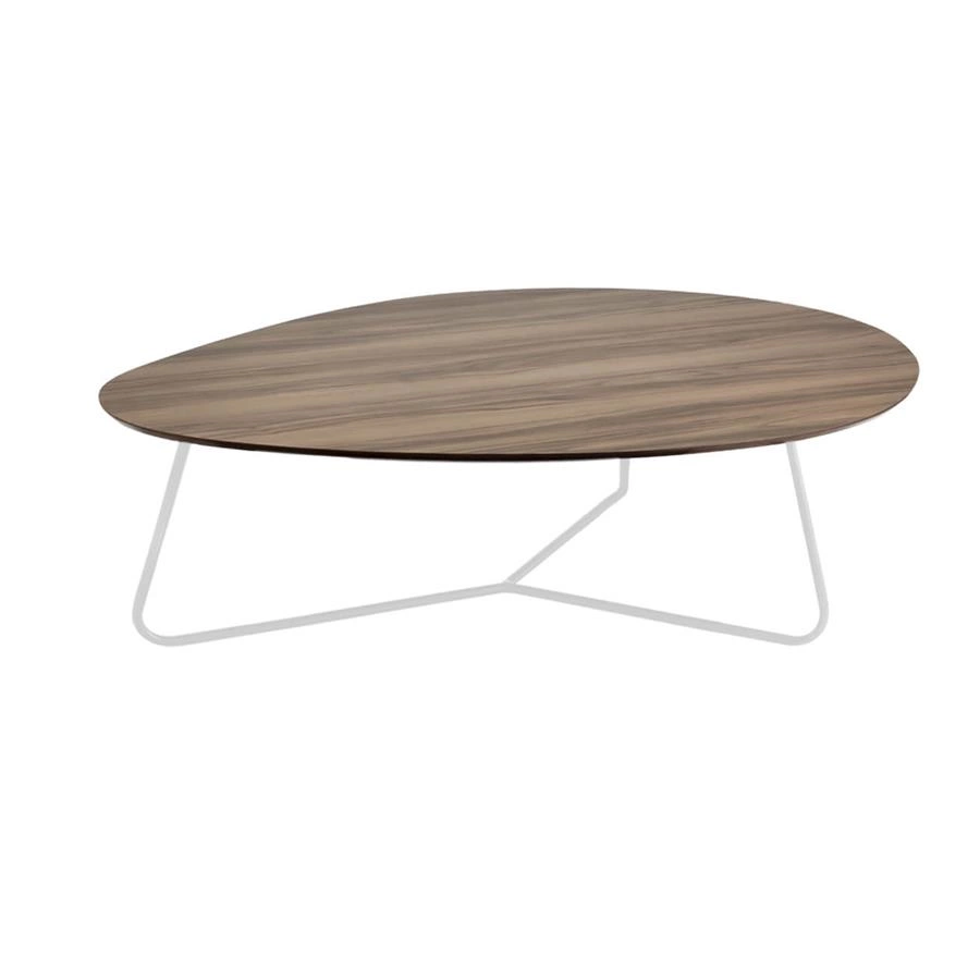 conjunto de mesa de centro orgânica